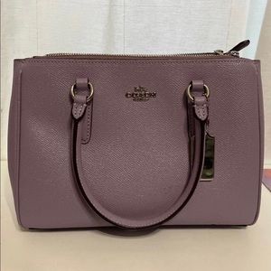 Coach mini carryall